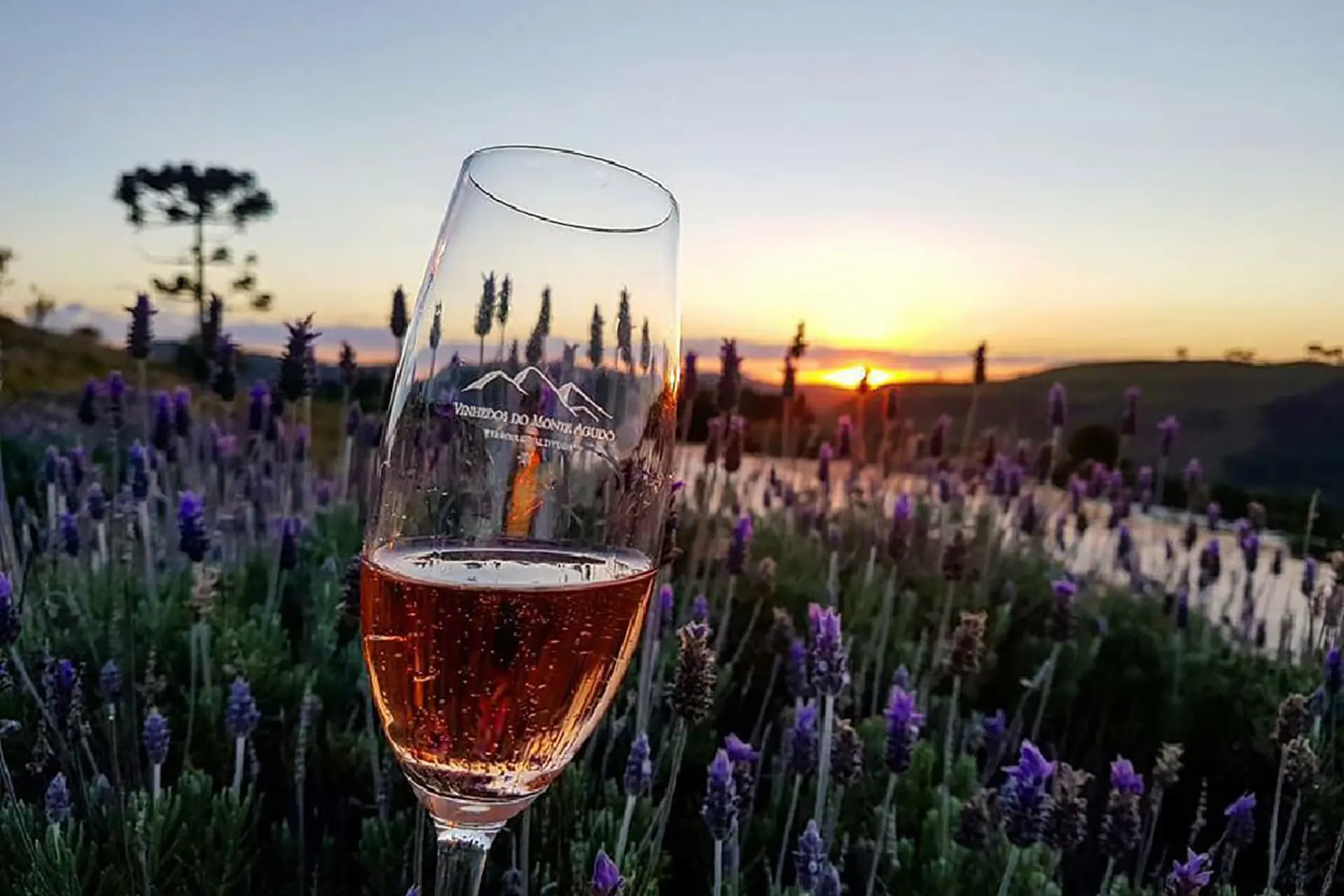 Divulgacao-Monte-Agudo