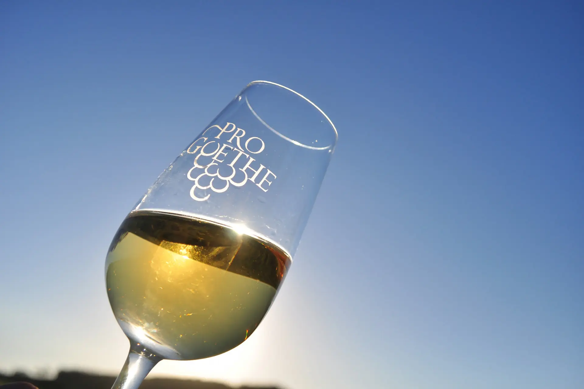 Divulgacao-Vigna-Mazon